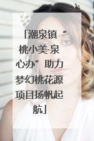 潮泉镇“桃小美·泉心办”助力梦幻桃花源项目扬帆起航