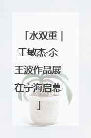 水双重｜王敏杰·余王波作品展在宁海启幕