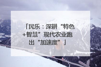 民乐：深耕“特色+智慧”现代农业跑出“加速度”