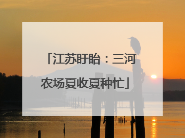 江苏盱眙：三河农场夏收夏种忙