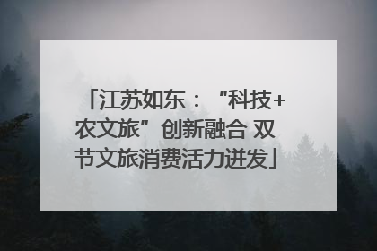 江苏如东：“科技+农文旅”创新融合 双节文旅消费活力迸发