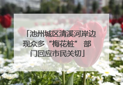 池州城区清溪河岸边现众多“梅花桩” 部门回应市民关切