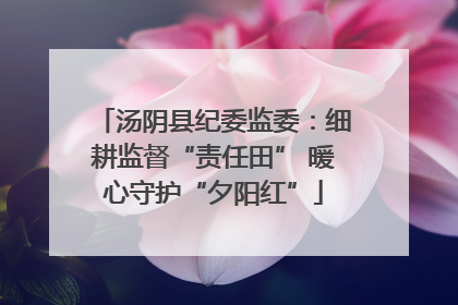 汤阴县纪委监委：细耕监督“责任田” 暖心守护“夕阳红”