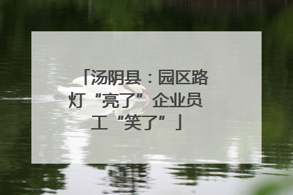 汤阴县：园区路灯“亮了”企业员工“笑了”
