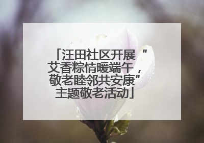 汪田社区开展“艾香粽情暖端午，敬老睦邻共安康”主题敬老活动