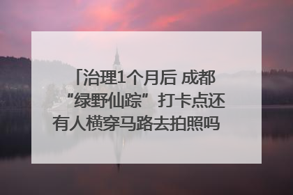 治理1个月后 成都“绿野仙踪”打卡点还有人横穿马路去拍照吗？｜民情瞭望