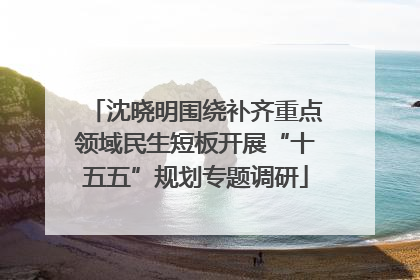 沈晓明围绕补齐重点领域民生短板开展“十五五”规划专题调研