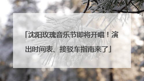 沈阳玫瑰音乐节即将开唱！演出时间表、接驳车指南来了