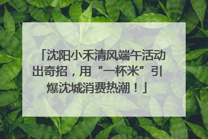 沈阳小禾清风端午活动出奇招，用“一杯米”引爆沈城消费热潮！