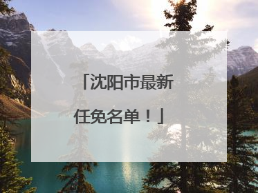 沈阳市最新任免名单！