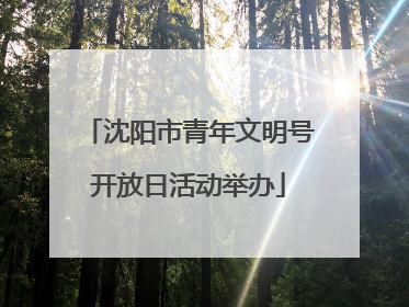 沈阳市青年文明号开放日活动举办