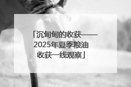沉甸甸的收获——2025年夏季粮油收获一线观察
