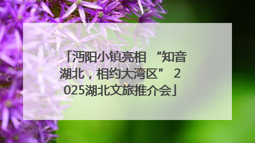 沔阳小镇亮相 “知音湖北，相约大湾区” 2025湖北文旅推介会