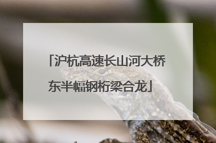 沪杭高速长山河大桥东半幅钢桁梁合龙