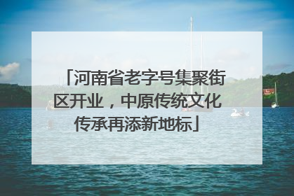 河南省老字号集聚街区开业，中原传统文化传承再添新地标