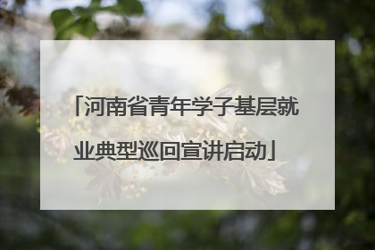 河南省青年学子基层就业典型巡回宣讲启动