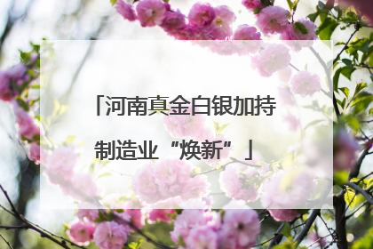 河南真金白银加持制造业“焕新”