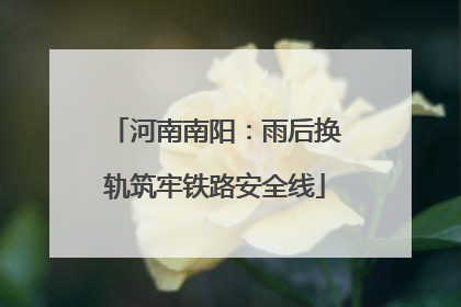 河南南阳：雨后换轨筑牢铁路安全线