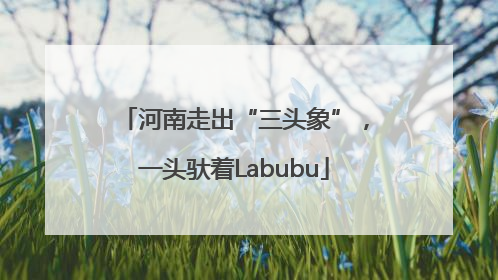 河南走出“三头象”，一头驮着Labubu