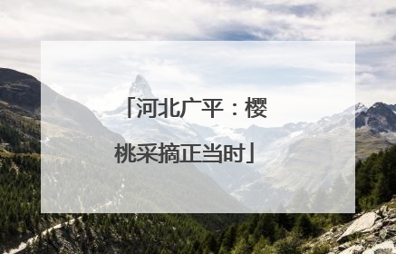 河北广平：樱桃采摘正当时