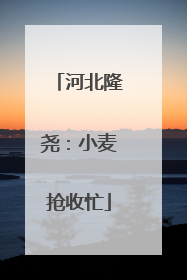 河北隆尧：小麦抢收忙