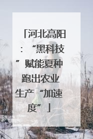 河北高阳：“黑科技”赋能夏种 跑出农业生产“加速度”