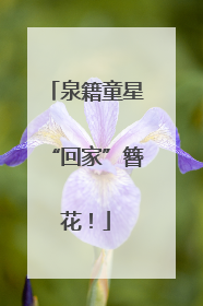 泉籍童星“回家”簪花！