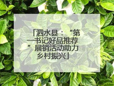 泗水县：“第一书记好品推荐”展销活动助力乡村振兴