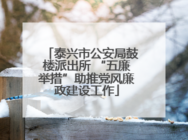 泰兴市公安局鼓楼派出所 “五廉举措”助推党风廉政建设工作