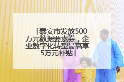 泰安市发放500万元数据要素券，企业数字化转型最高享5万元补贴