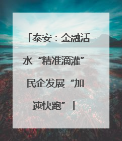 泰安：金融活水“精准滴灌” 民企发展“加速快跑”