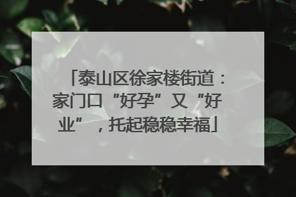 泰山区徐家楼街道：家门口“好孕”又“好业”，托起稳稳幸福