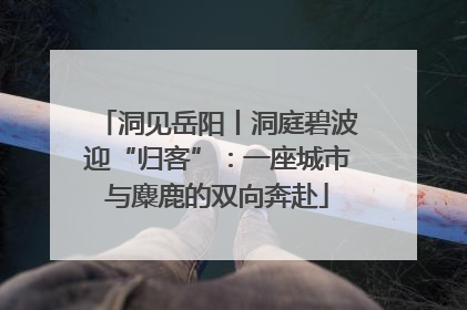 洞见岳阳丨洞庭碧波迎“归客”：一座城市与麋鹿的双向奔赴