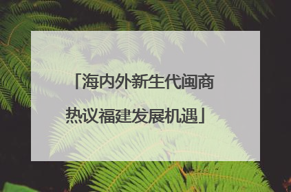 海内外新生代闽商热议福建发展机遇