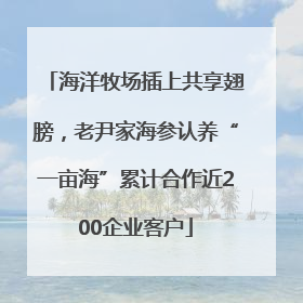 海洋牧场插上共享翅膀，老尹家海参认养“一亩海”累计合作近200企业客户