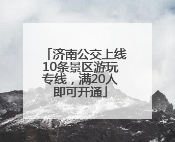 济南公交上线10条景区游玩专线，满20人即可开通