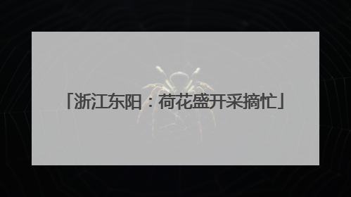 浙江东阳：荷花盛开采摘忙