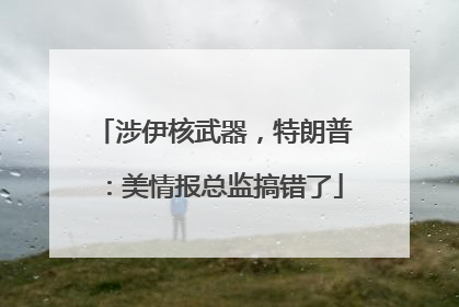 涉伊核武器，特朗普：美情报总监搞错了