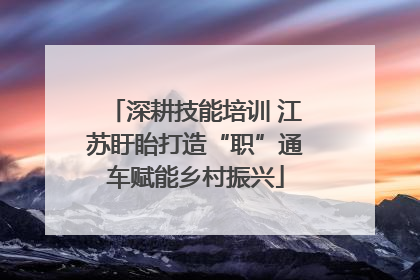 深耕技能培训 江苏盱眙打造“职”通车赋能乡村振兴