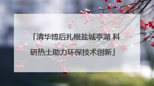 清华博后扎根盐城亭湖 科研热土助力环保技术创新