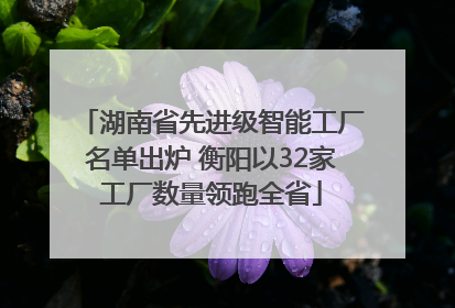 湖南省先进级智能工厂名单出炉 衡阳以32家工厂数量领跑全省
