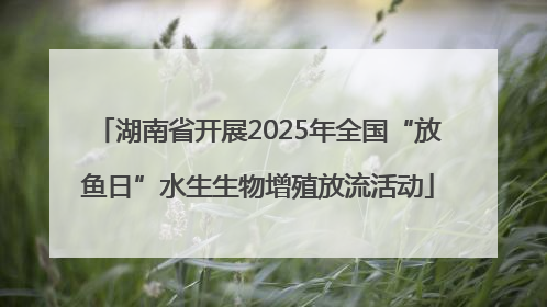 湖南省开展2025年全国“放鱼日”水生生物增殖放流活动