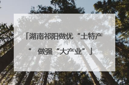 湖南祁阳做优“土特产” 做强“大产业”