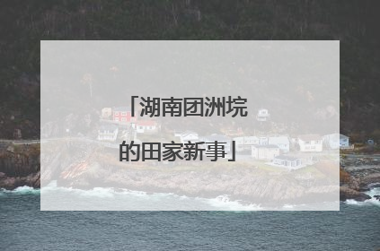 湖南团洲垸的田家新事