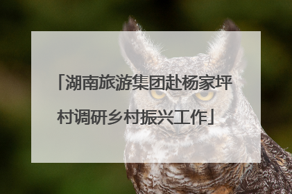 湖南旅游集团赴杨家坪村调研乡村振兴工作