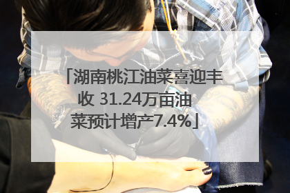 湖南桃江油菜喜迎丰收 31.24万亩油菜预计增产7.4%