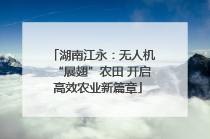 湖南江永：无人机“展翅”农田 开启高效农业新篇章