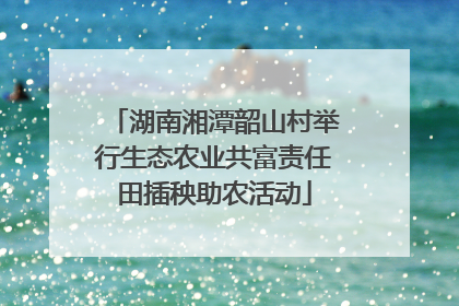 湖南湘潭韶山村举行生态农业共富责任田插秧助农活动