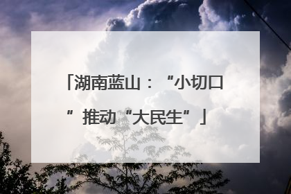 湖南蓝山：“小切口”推动“大民生”