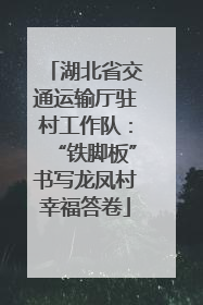 湖北省交通运输厅驻村工作队：“铁脚板”书写龙凤村幸福答卷